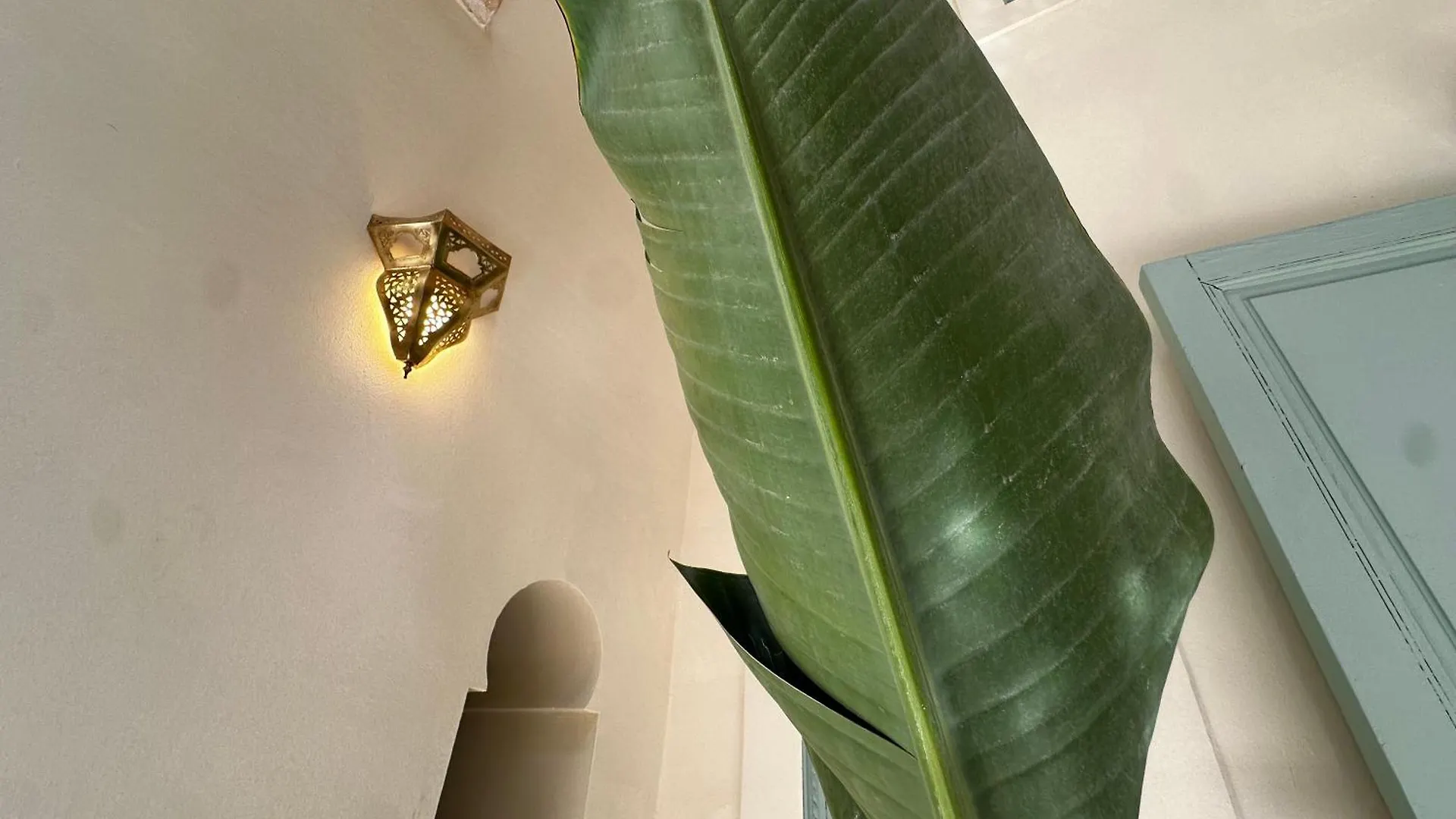 Holiday home Dar Ibo- Entire House- Villa Marrakesh