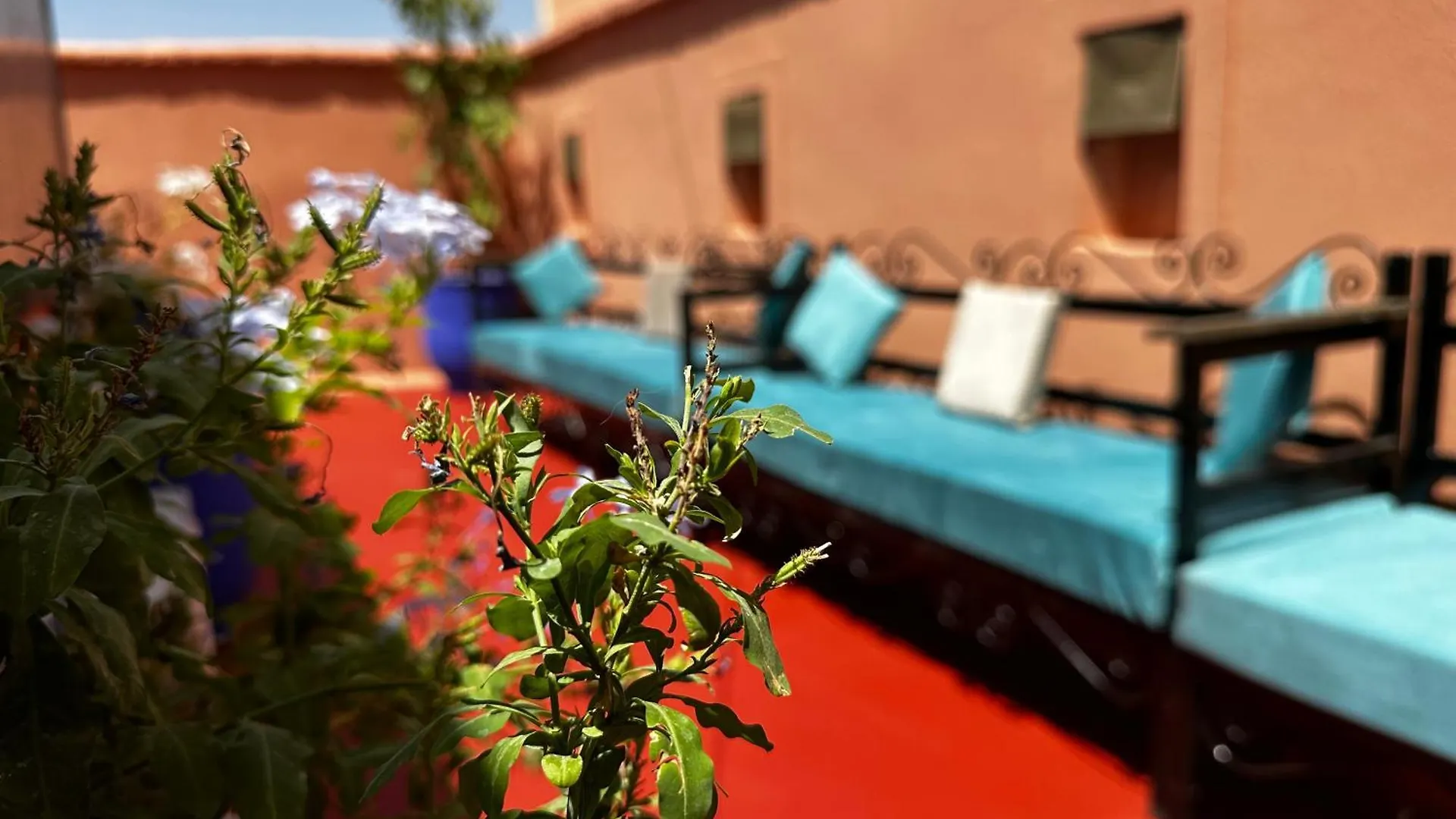 Holiday home Dar Ibo- Entire House- Villa Marrakesh